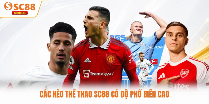 Các kèo thể thao SC88 có độ phổ biên cao